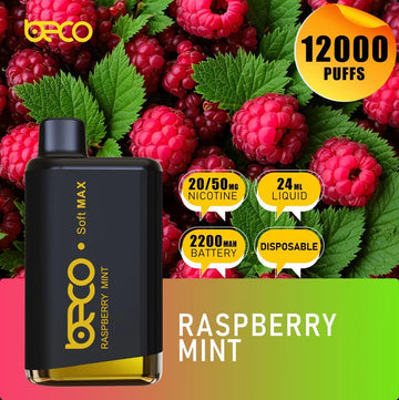 BECO SOFT MAX 12000 PUFFS 20MG