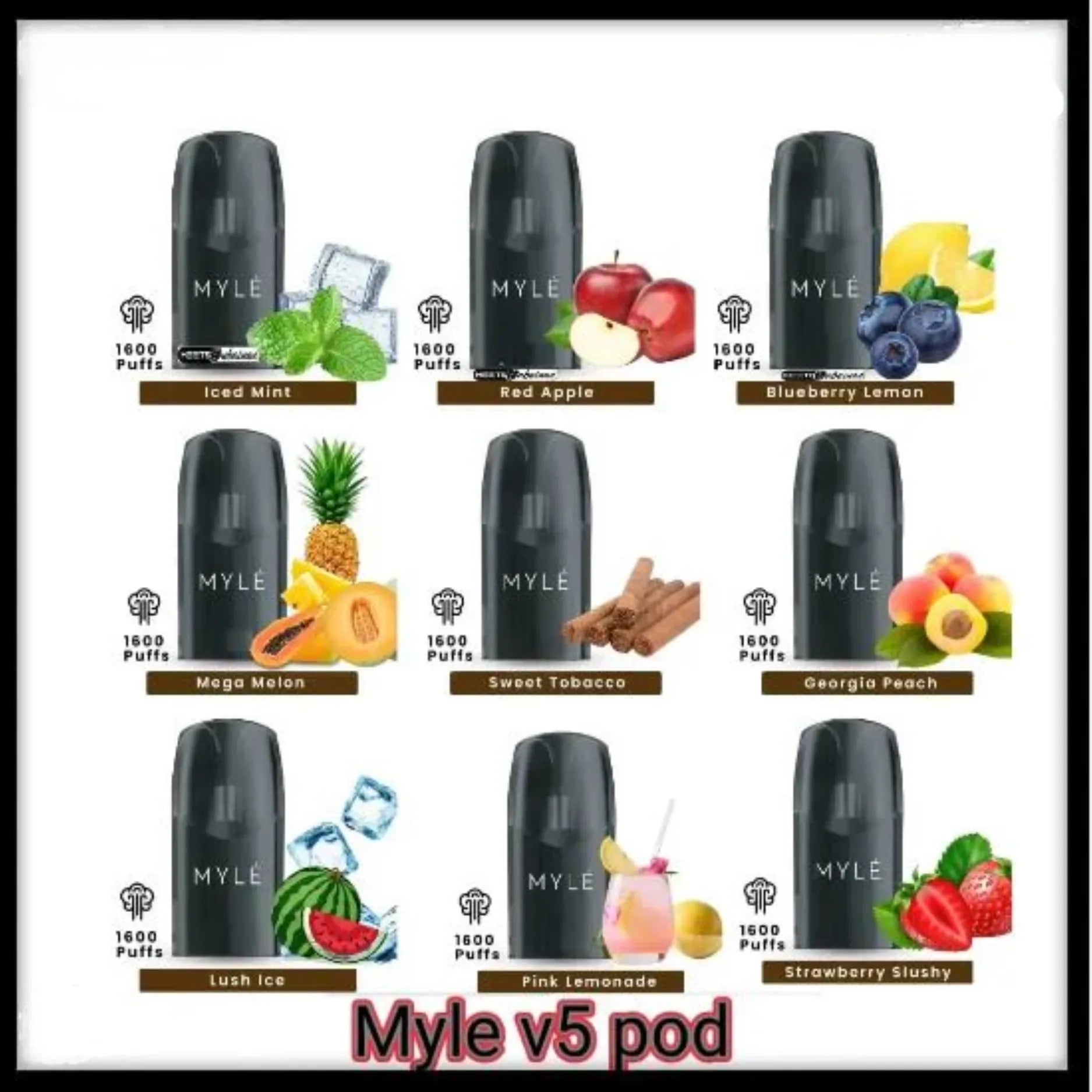 MYLE-V5-META-PODS