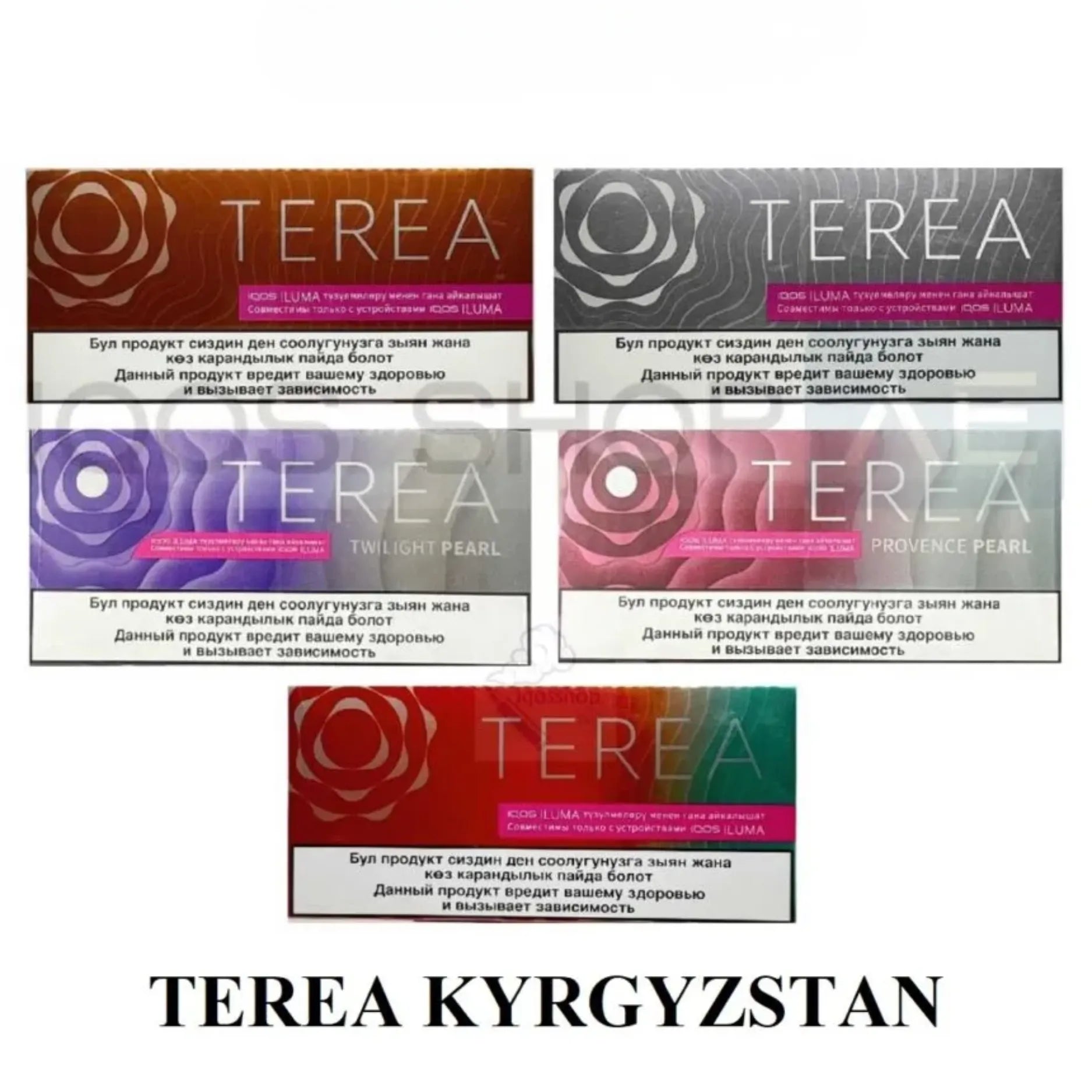 TEREA-KYRGYZSTAN